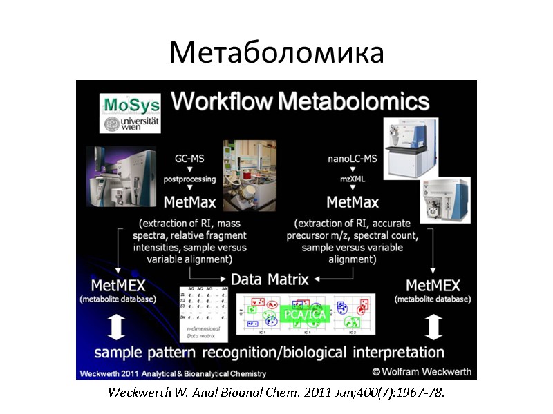 Метаболомика Weckwerth W. Anal Bioanal Chem. 2011 Jun;400(7):1967-78.